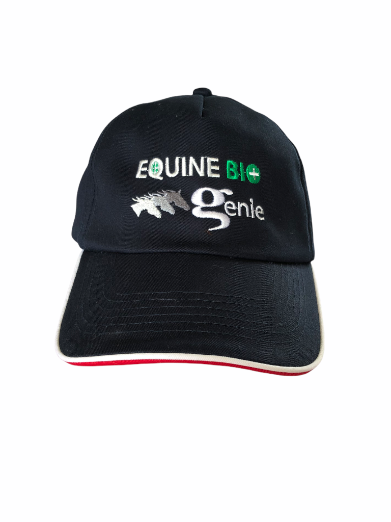 The EBG Baseball cap – be proud to be part of our team!