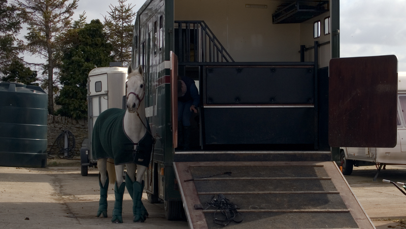 The Essential Guide to Disinfecting Your Horsebox