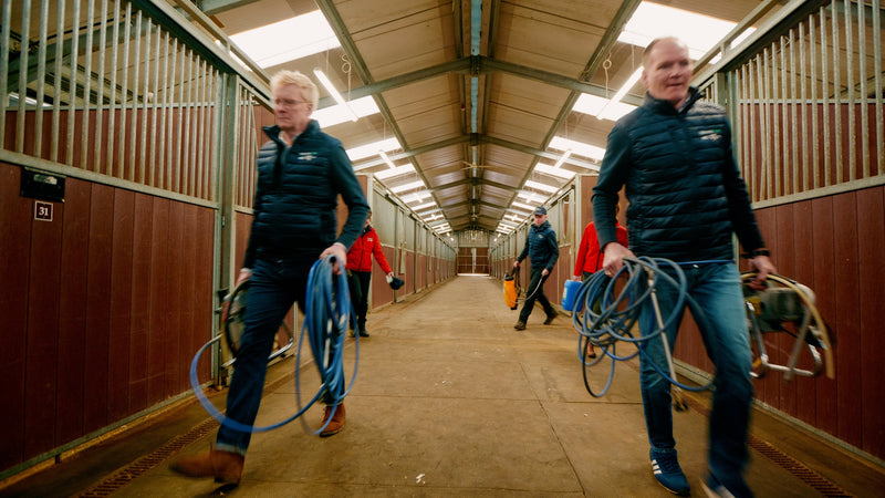 Preparing Your Horse Yard for Winter: How to Thoroughly Disinfect Stables Before Horses Come Back In
