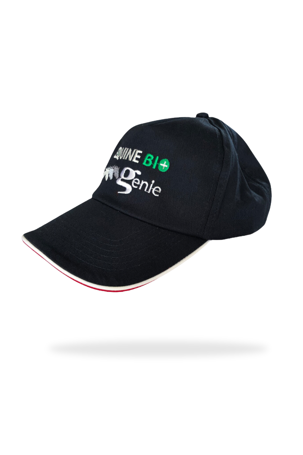The EBG Baseball cap – be proud to be part of our team!