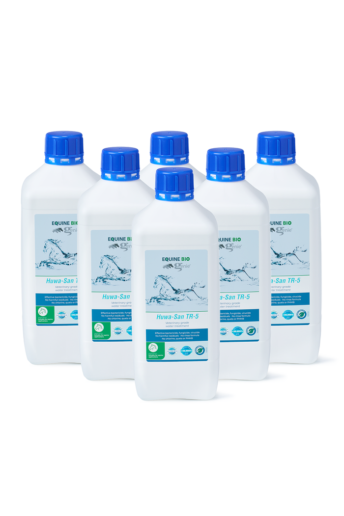 Water Treatment - Box of 6